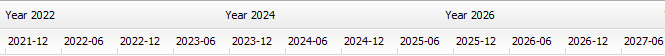 Year View, Semi-Annual with Summary Label Every 2 Years (example 6 years)